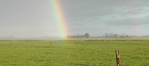 Regenboog